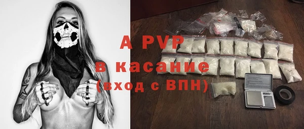 дмт Дмитровск