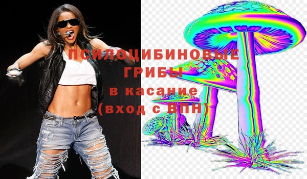 прущие крисы Дмитриев