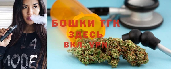 сатива Дегтярск