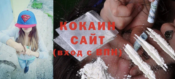 дмт Дмитровск