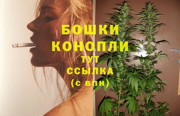 дмт Дмитровск